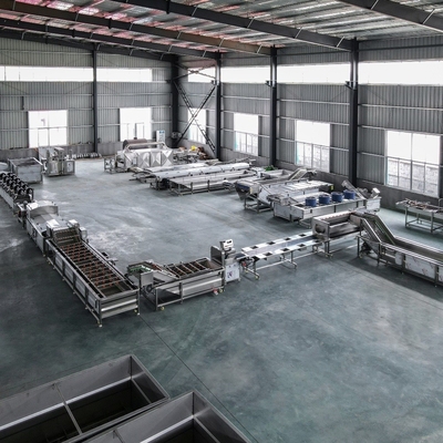 Máquina automática de limpeza de frutas / máquina de lavar vegetais de 500 kg