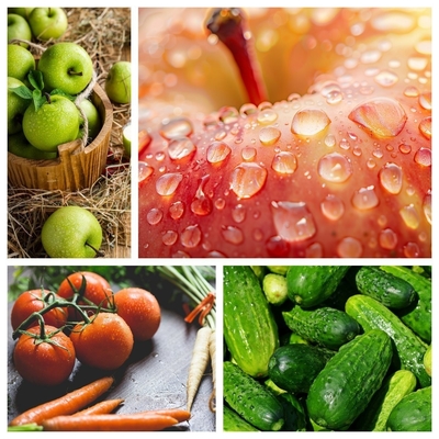Serviço pós-venda Apoio online Máquina automática industrial de lavagem e secagem de frutas