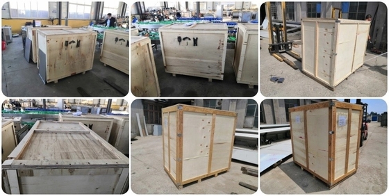 200 kg e 300 kg Capacidade Frigoríficos orgânicos congelados IQF Batatas fritas com corte de 7*7 mm Personalizavel