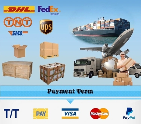200 kg e 300 kg Capacidade Frigoríficos orgânicos congelados IQF Batatas fritas com corte de 7*7 mm Personalizavel