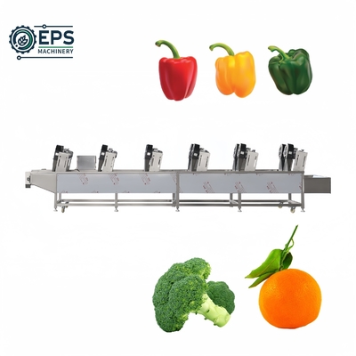Máquina de secagem industrial de frutas e vegetais de grande capacidade para a transformação de alimentos