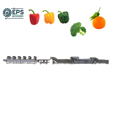 Lavadora de frutas e vegetais totalmente automática para atacadistas de alimentos que atendam aos seus padrões
