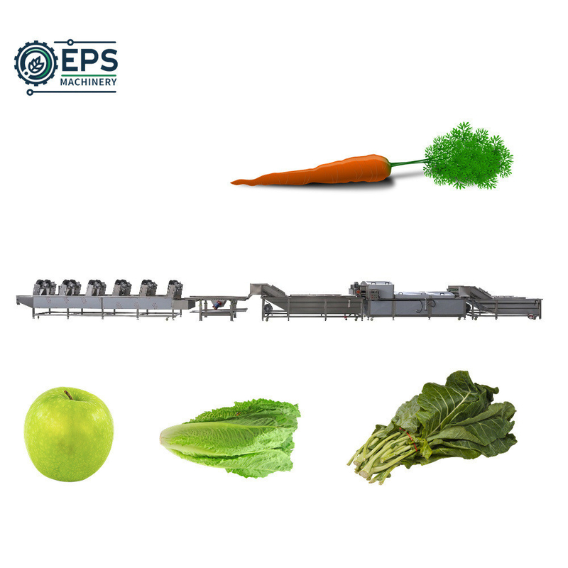 Customize linha de limpeza e secagem de frutas e legumes totalmente automática Voltagem 110V-380V